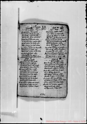 Fotogramma D 6