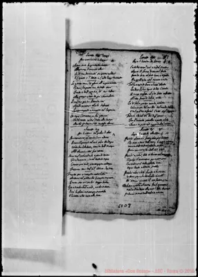 Fotogramma D 8