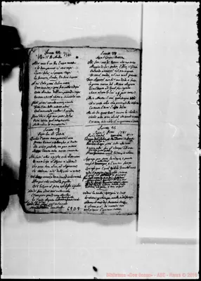 Fotogramma D 9