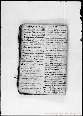 Fotogramma E 5