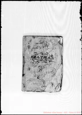 Fotogramma E 7