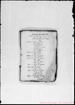 Fotogramma E 8