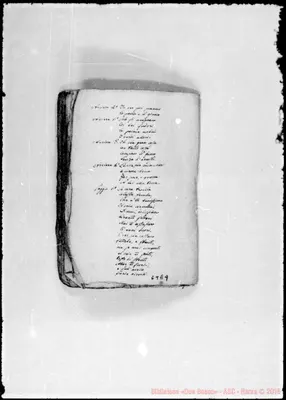 Fotogramma E 9