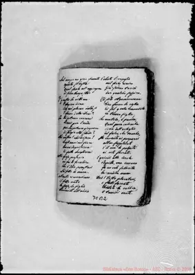 Fotogramma B 2
