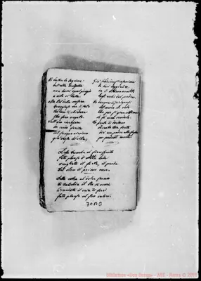 Fotogramma B 3