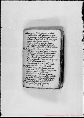 Fotogramma B 6