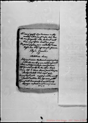 Fotogramma C 3