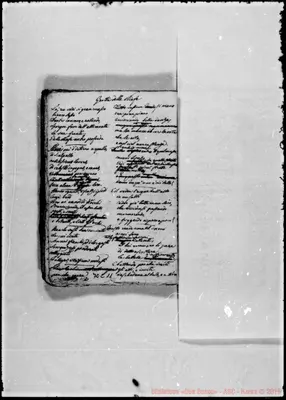 Fotogramma C 11