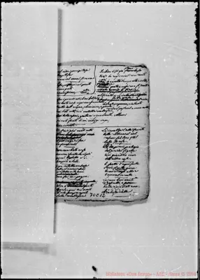 Fotogramma C 12