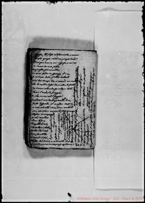 Fotogramma D 3