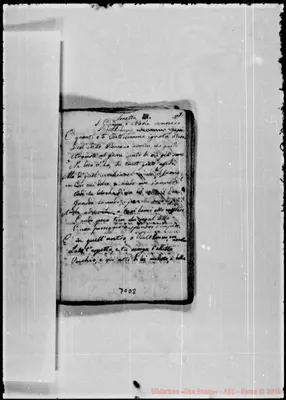 Fotogramma D 8