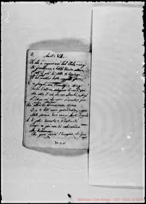 Fotogramma D 11