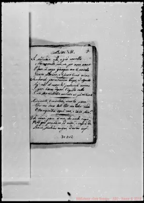 Fotogramma D 12
