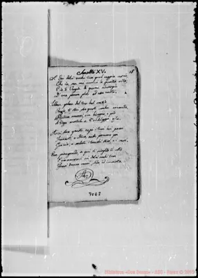 Fotogramma E 8