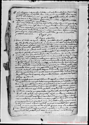 Fotogramma E 7