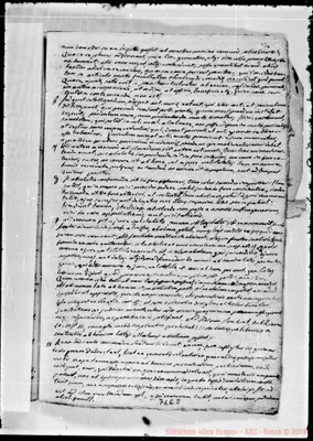 Fotogramma E 8
