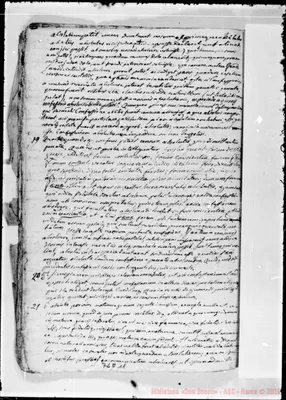 Fotogramma E 11