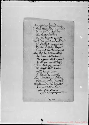 Fotogramma D 11