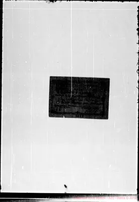Fotogramma E 8