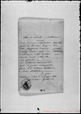 Fotogramma D 3