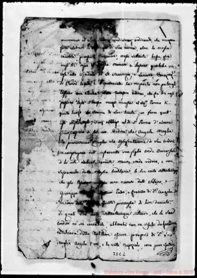 Fotogramma C 2