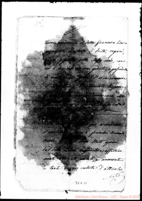Fotogramma C 11
