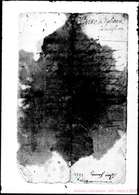 Fotogramma D 3
