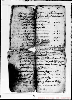 Fotogramma E 5