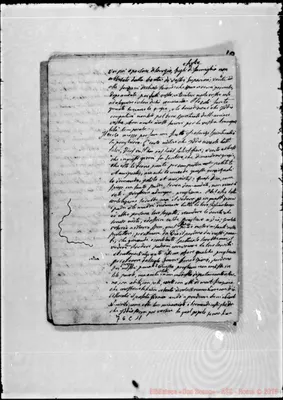 Fotogramma C 11