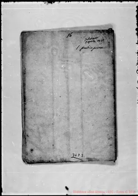Fotogramma D 3