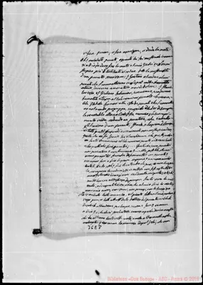 Fotogramma E 8