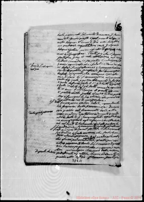 Fotogramma C 11