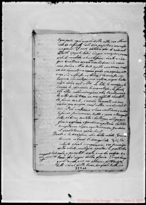 Fotogramma D 11