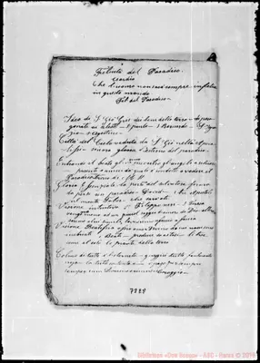Fotogramma E 8