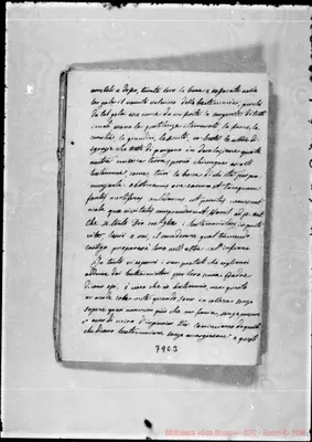 Fotogramma C 3