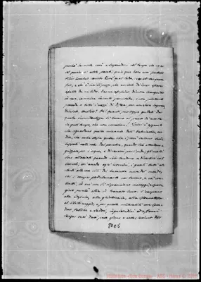 Fotogramma C 5