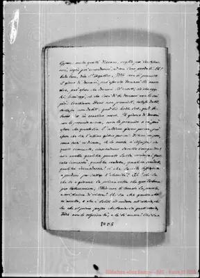 Fotogramma D 5