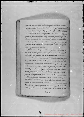 Fotogramma D 11