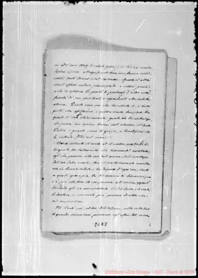 Fotogramma E 8