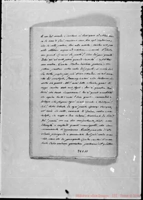Fotogramma C 11