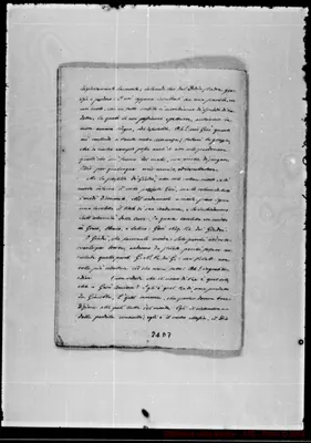 Fotogramma D 7