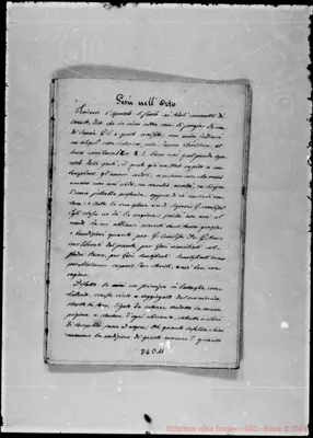 Fotogramma D 11