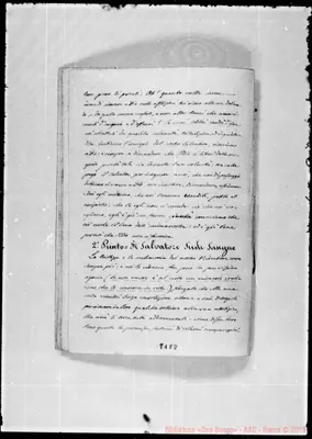 Fotogramma E 8