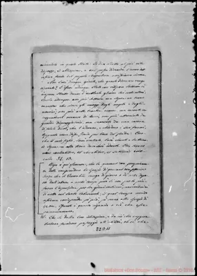 Fotogramma D 11