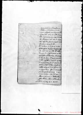 Fotogramma D 8