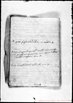 Fotogramma D 11