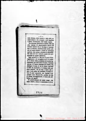 Fotogramma C 8