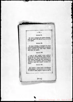 Fotogramma D 2