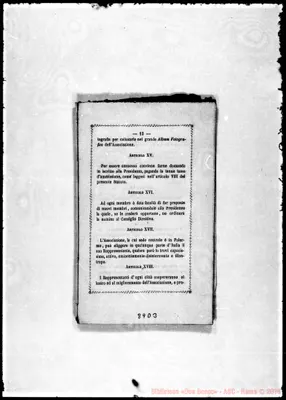 Fotogramma D 3