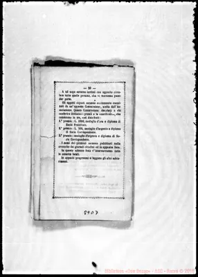 Fotogramma D 7